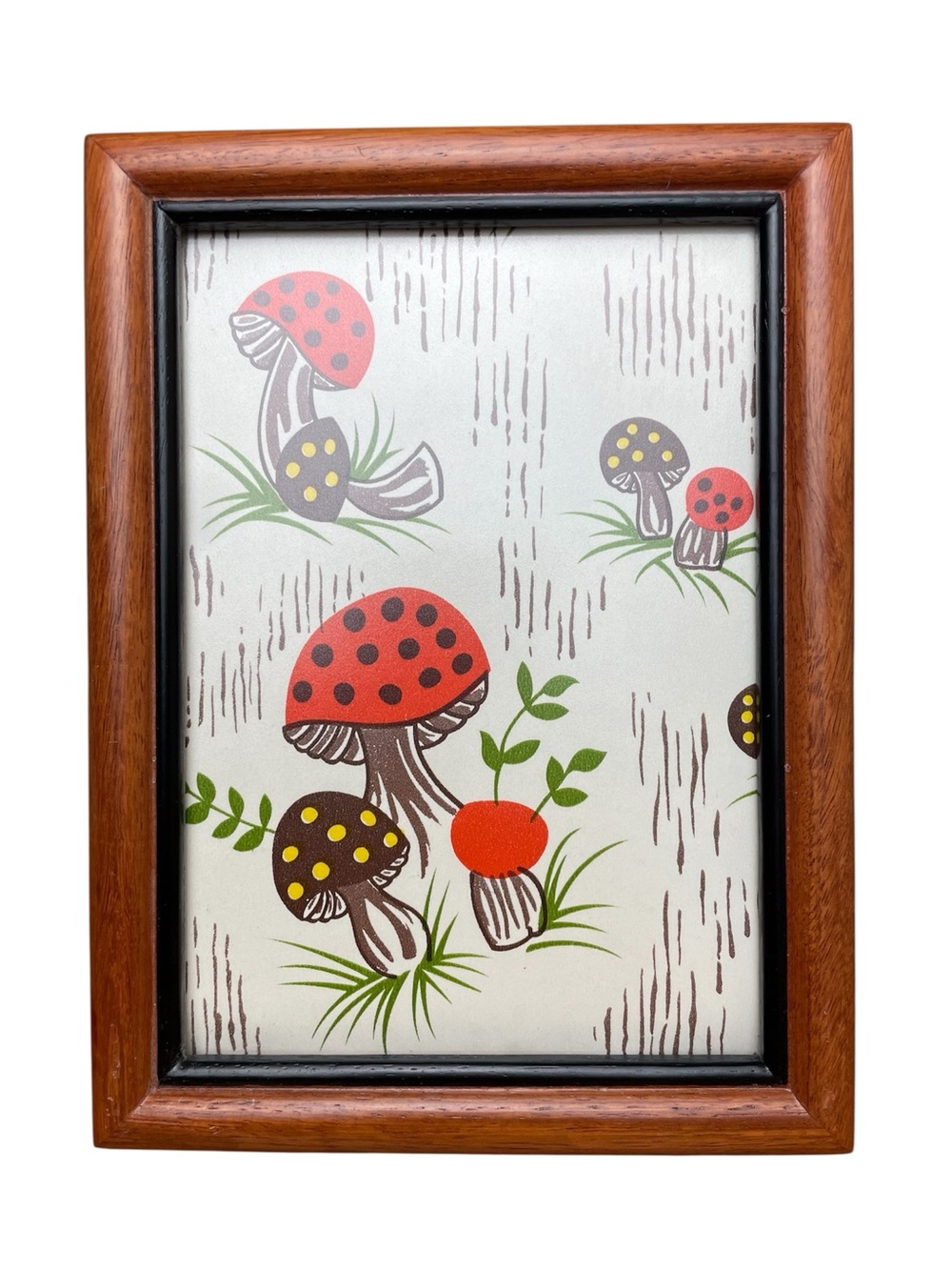 Merry Mushroom Framed Art Display Picture Frame Artwork Contact Paper